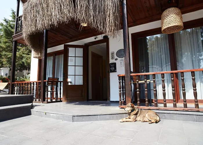 No 22 Riders' 3* Акьяка